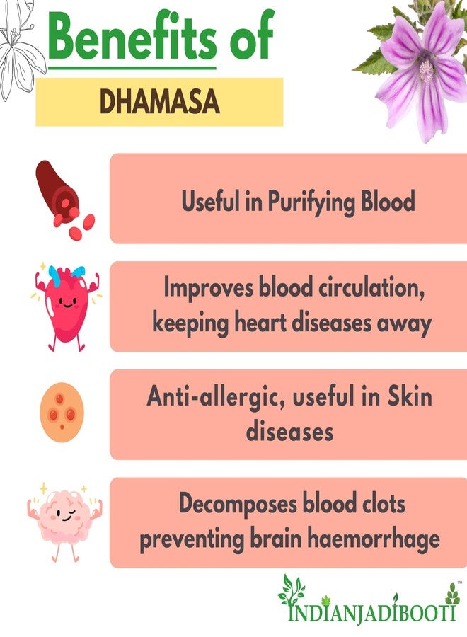 IndianJadiBooti Dhamasa (Fagonia Cretica) | 100g | Damasha Panchang/Sachhi Buti | Whole Plant Dried Herb (with Thorns) | Traditional Cooling & Purifying Tonic (Rakta Shodhak) - Image 3